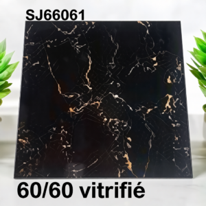 Carreaux de sol vitrifiés 60x60 – SJ66061